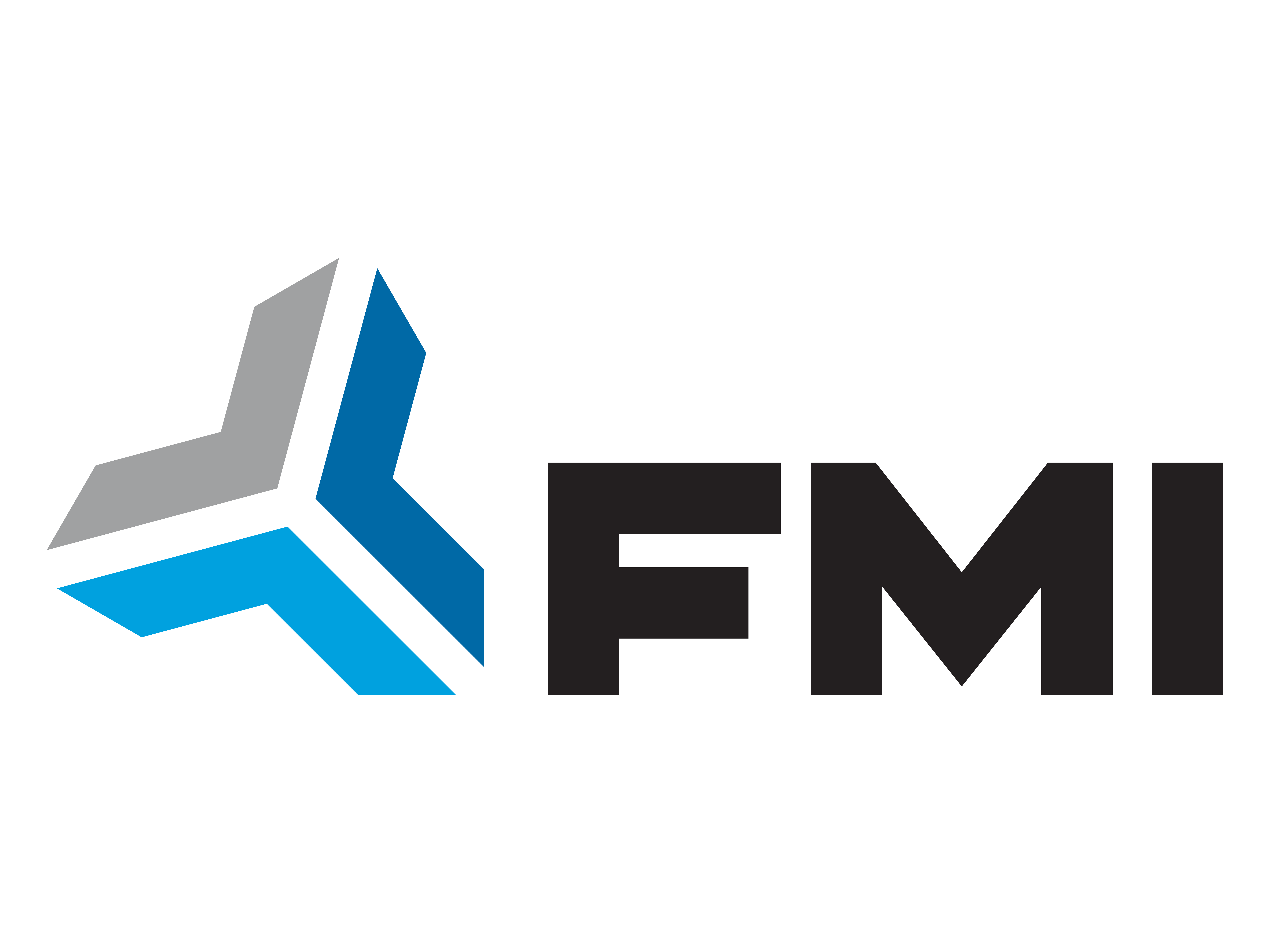 FMI Logo